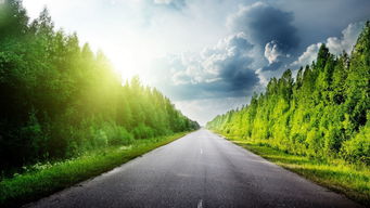 晨光下的綠色公路 駛向希望的自然之旅